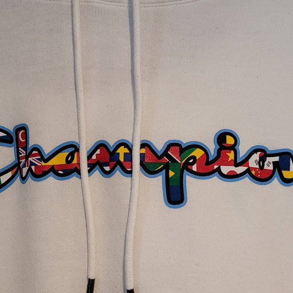 MEN'S PREOWNED CHAMPION HOODIE SWEATSHIRT XL INTERNATIONAL FLAG THEME - Picture 3 of 3